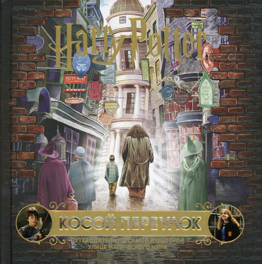 Гарри Поттер. Косой переулок. Путеводитель по самой распространенной улице магического мира