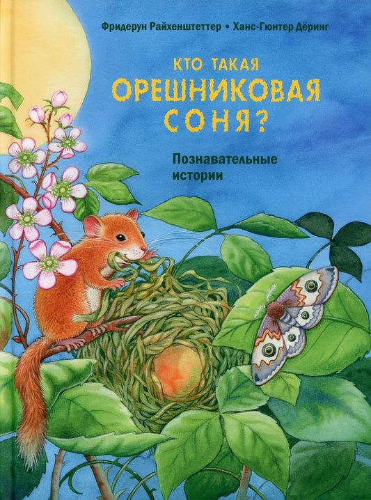 Qu'est-ce que c'est que Sony? Histoire personnelle