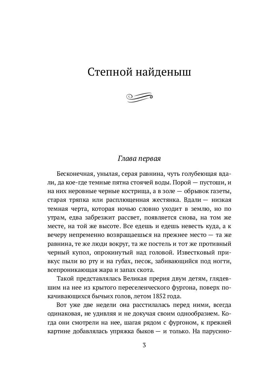Степной найденыш. Повести и рассказы: сборник