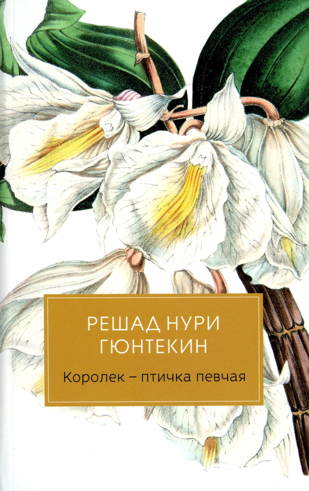 Королек - птичка певчая