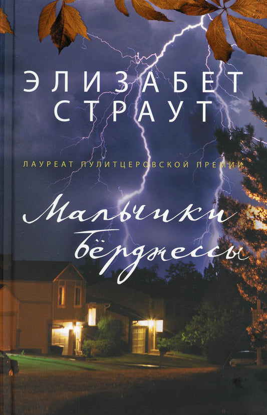 Мальчики Берджессы: роман