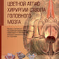 Цветной атлас хирургии ствола головного мозга