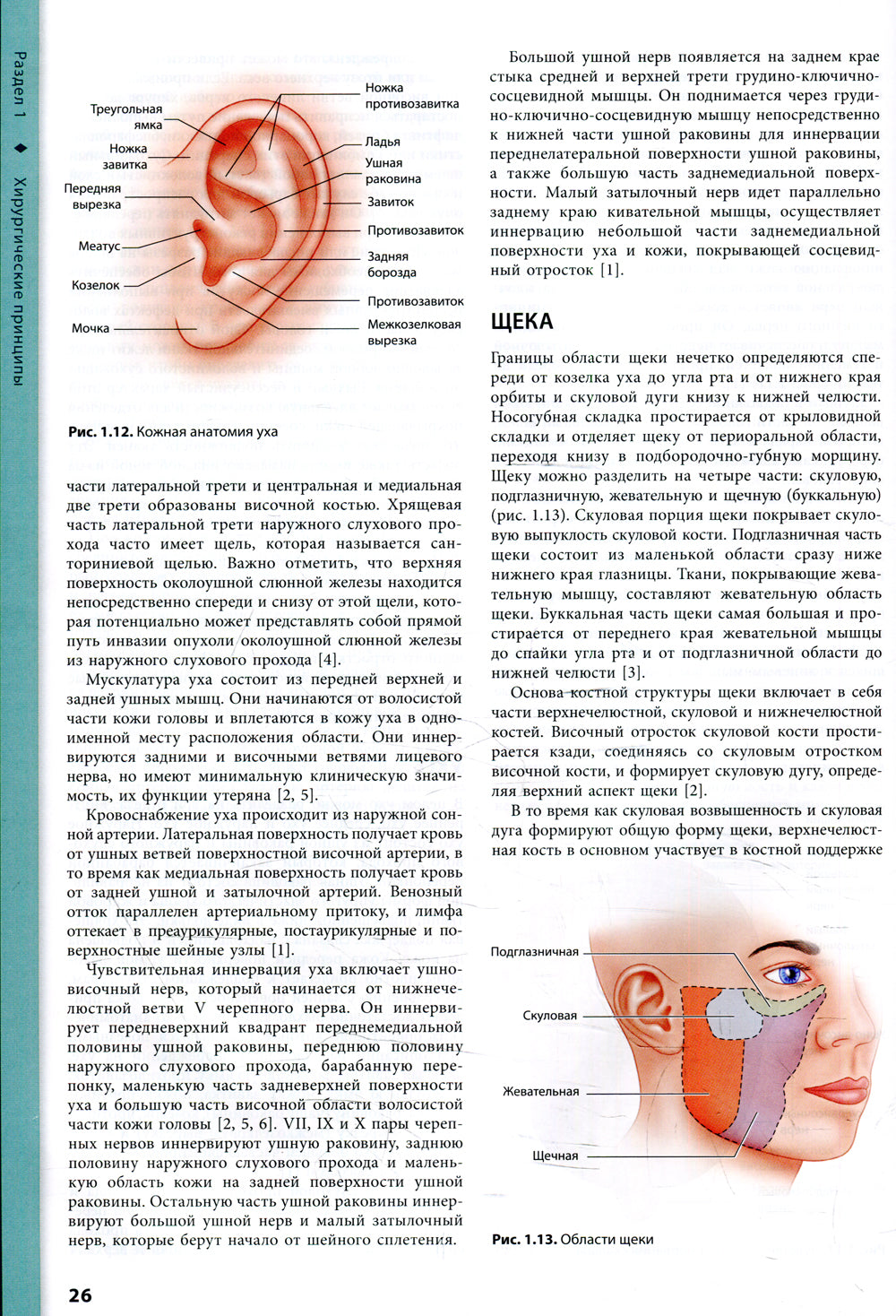 Процедуры в дерматологии. Эстетическая хирургия