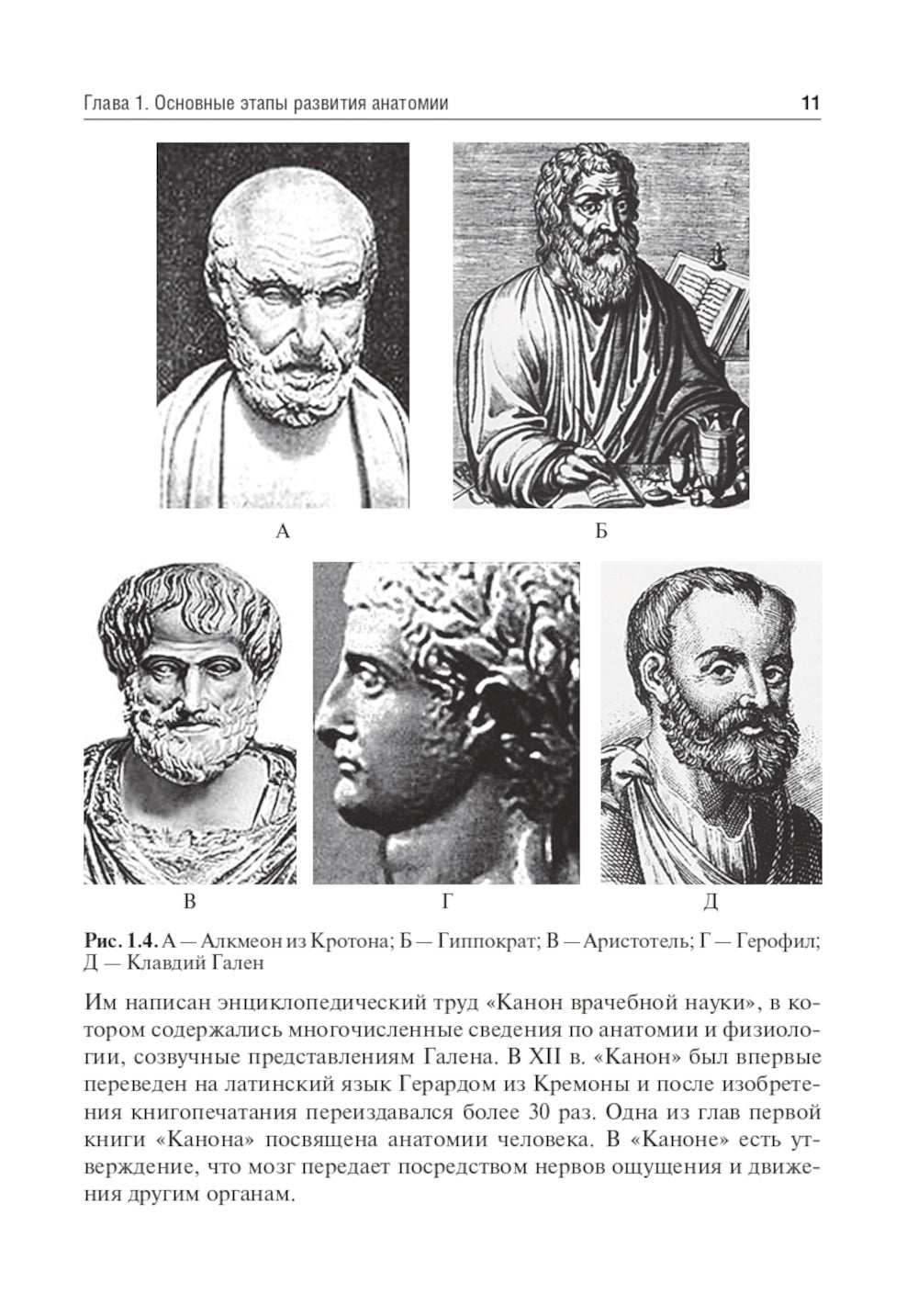 Анатомия человека. Опорно-двигательный аппарат: Учебное пособие