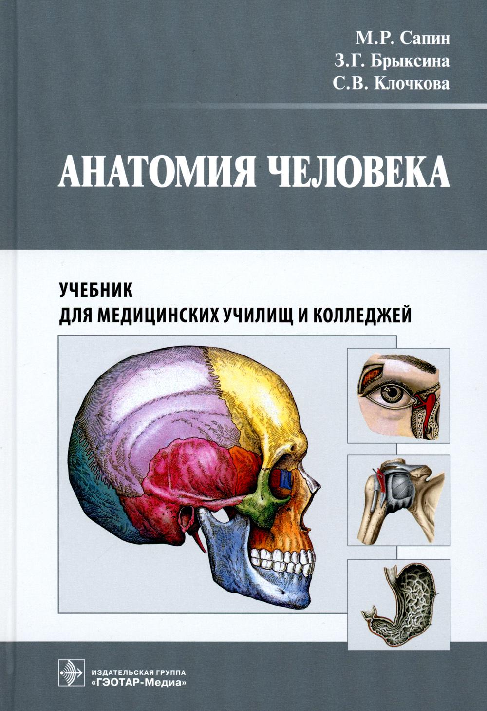 Анатомия человека: Учебник для медицинских училищ и колледжей
