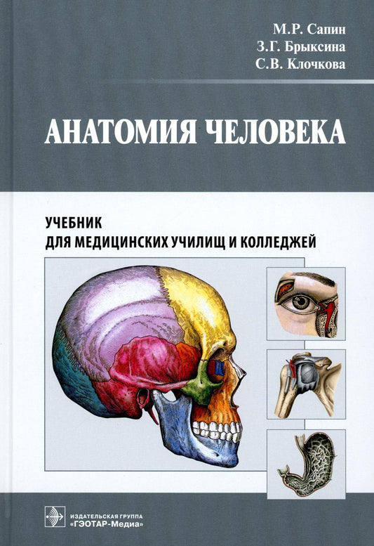 Анатомия человека: Учебник для медицинских училищ и колледжей