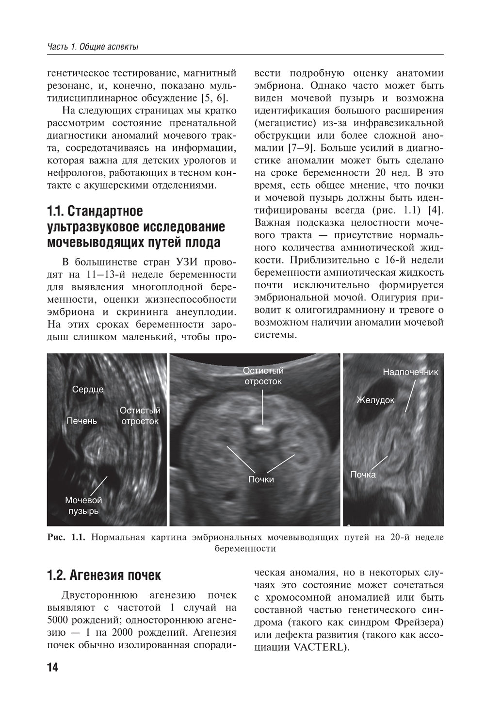 Детская урология. Современные операционные методики: от внутриутробного периода развития до пубертата