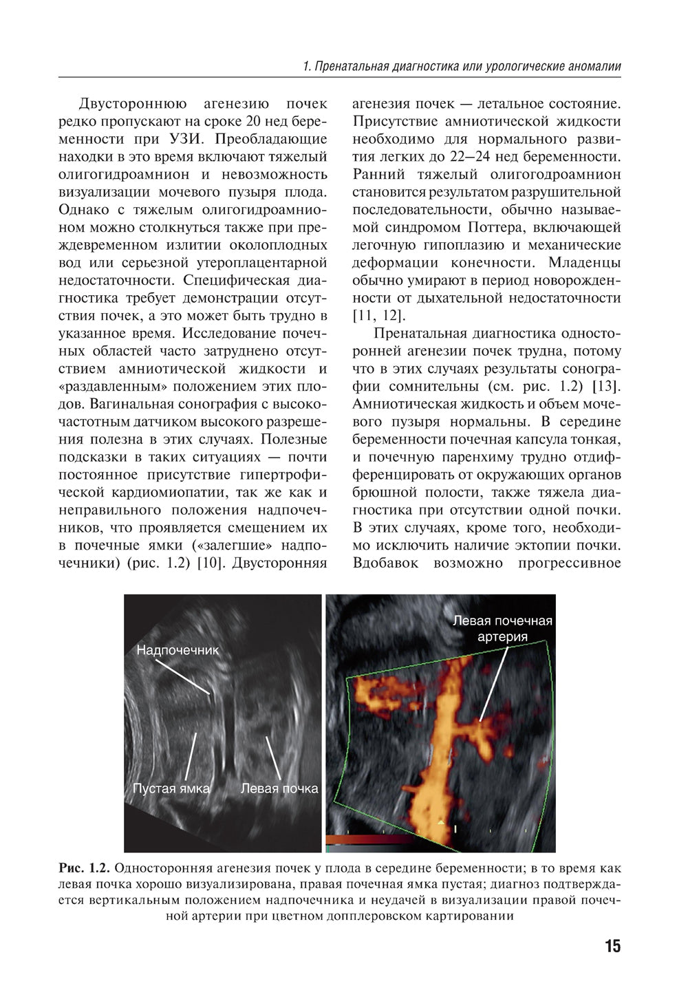 Детская урология. Современные операционные методики: от внутриутробного периода развития до пубертата