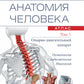 Анатомия человека.  Атлас. В 3 т. Т. 1: Опорно-двигательный аппарат. Остеология. Синдесмология. Миология: Учебное пособие