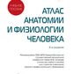 Атлас анатомии и физиологии человека: Учебное пособие. 3-е изд