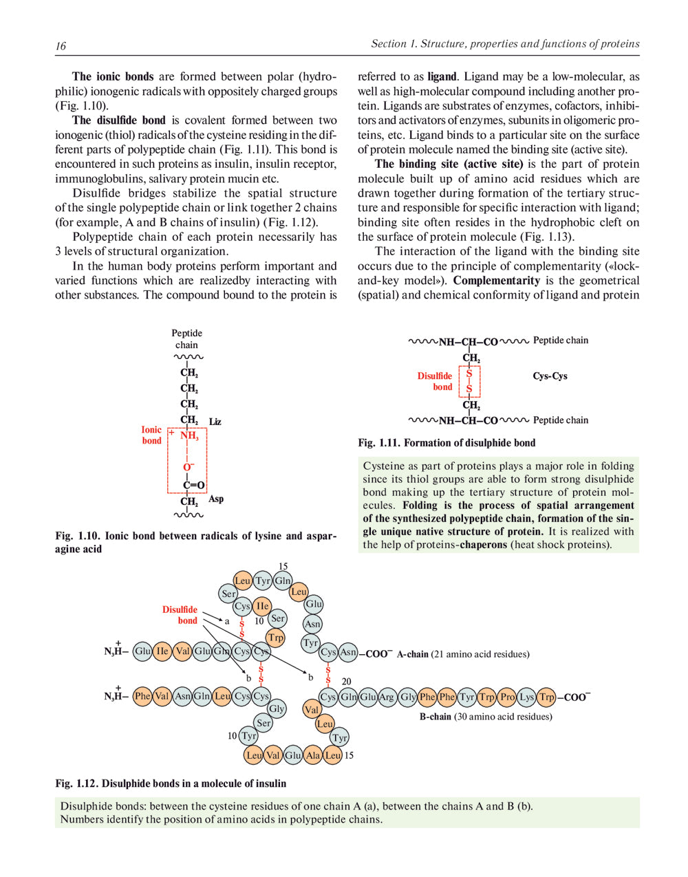 Biochimie avec exercices et tâches : manuel : на англ.яз