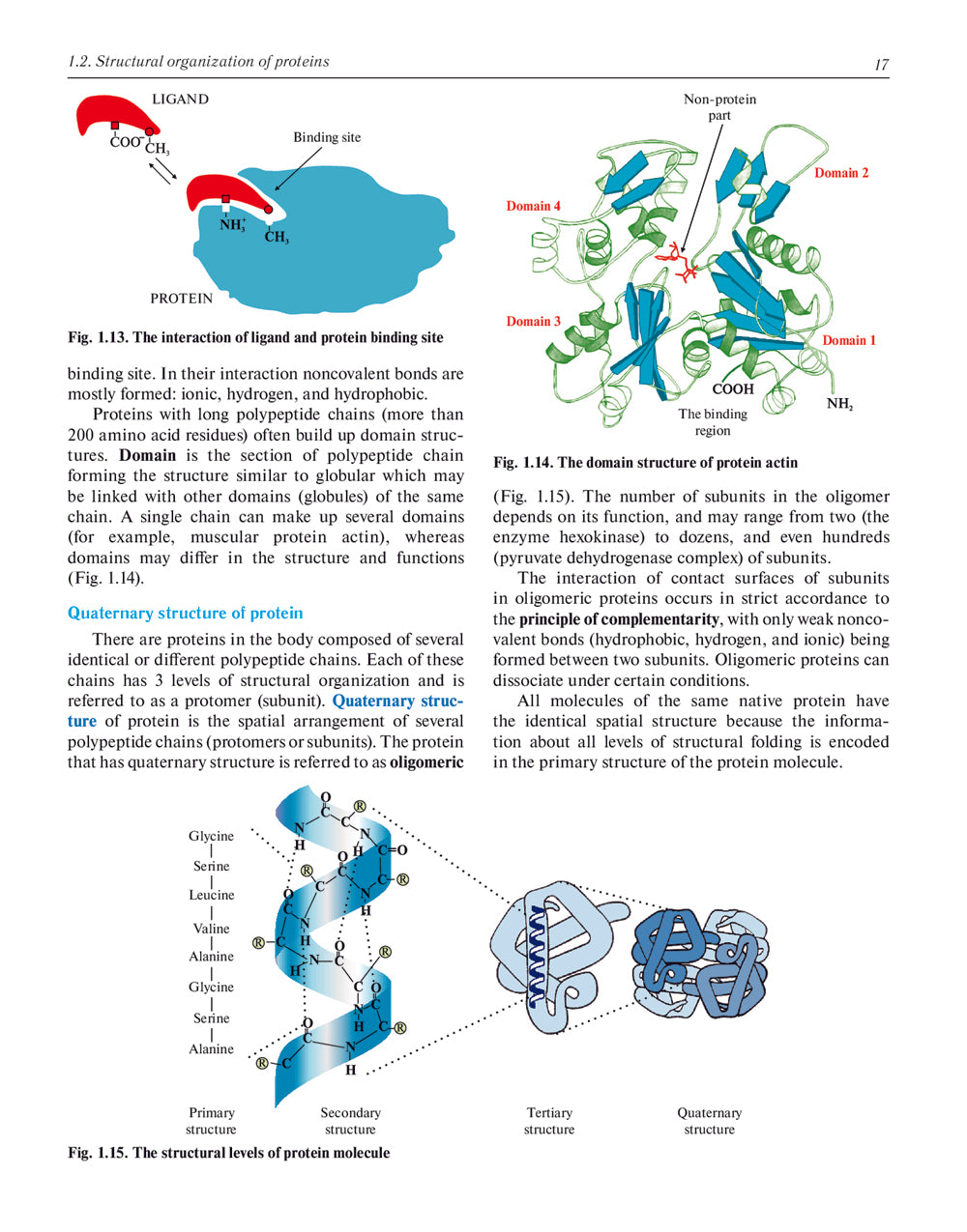 Biochimie avec exercices et tâches : manuel : на англ.яз