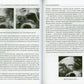 Ведение беременности ранних сроков, наступившей в результате протоколов ВРТ: руководство для врачей