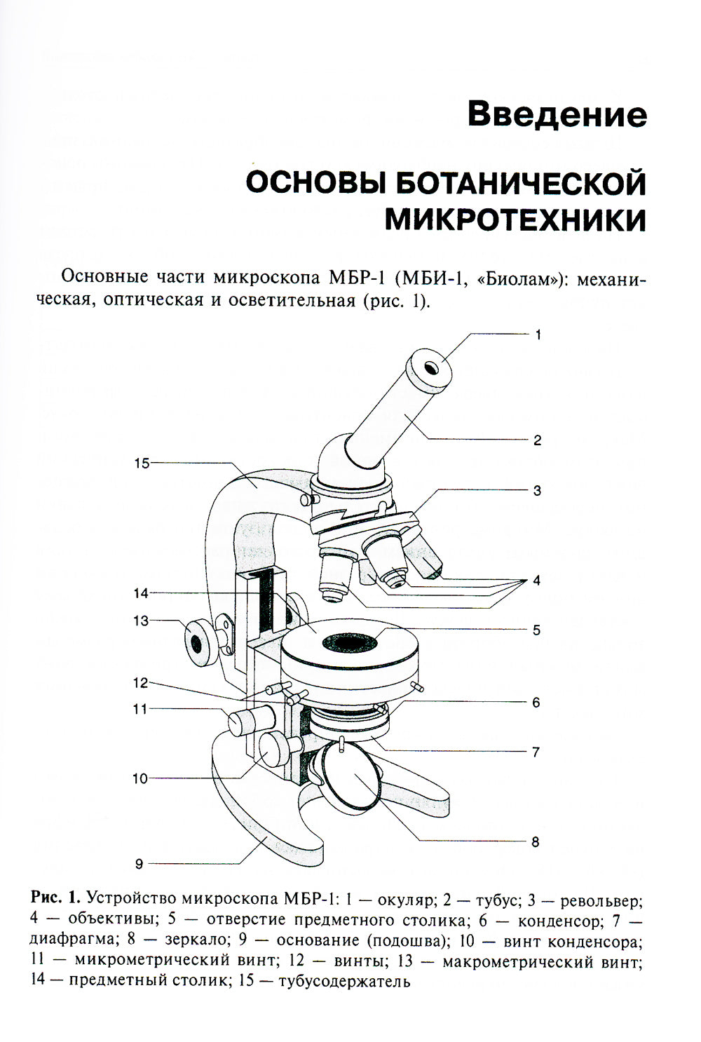 Ботаника. Руководство к практическим занятиям: Учебное пособие