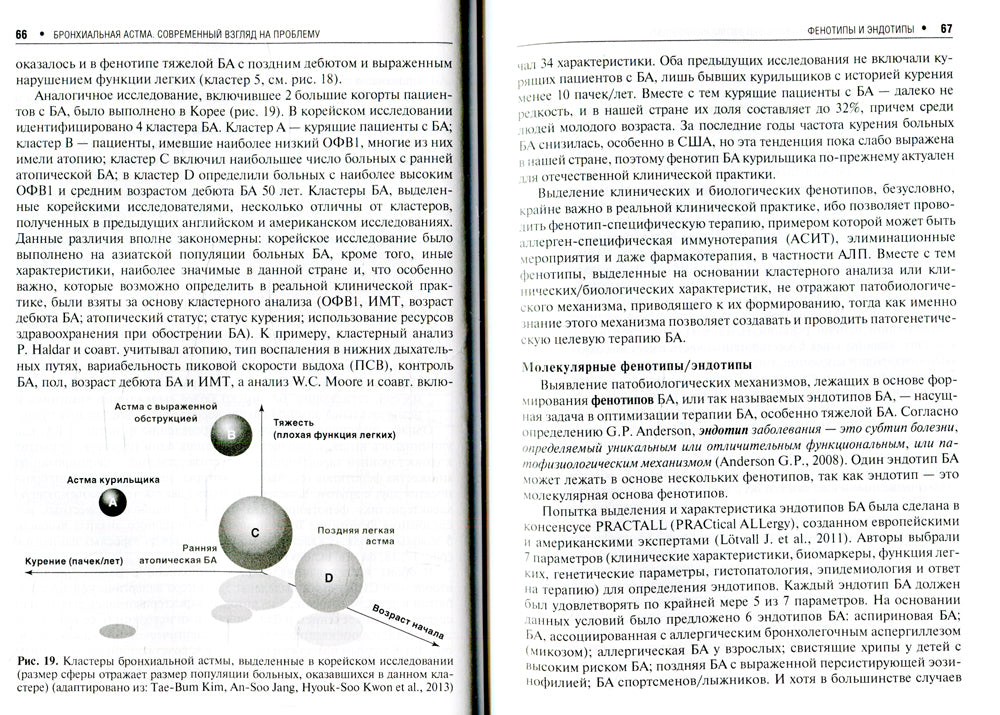 Бронхиальная ответственность. Современный взгляд на проблему