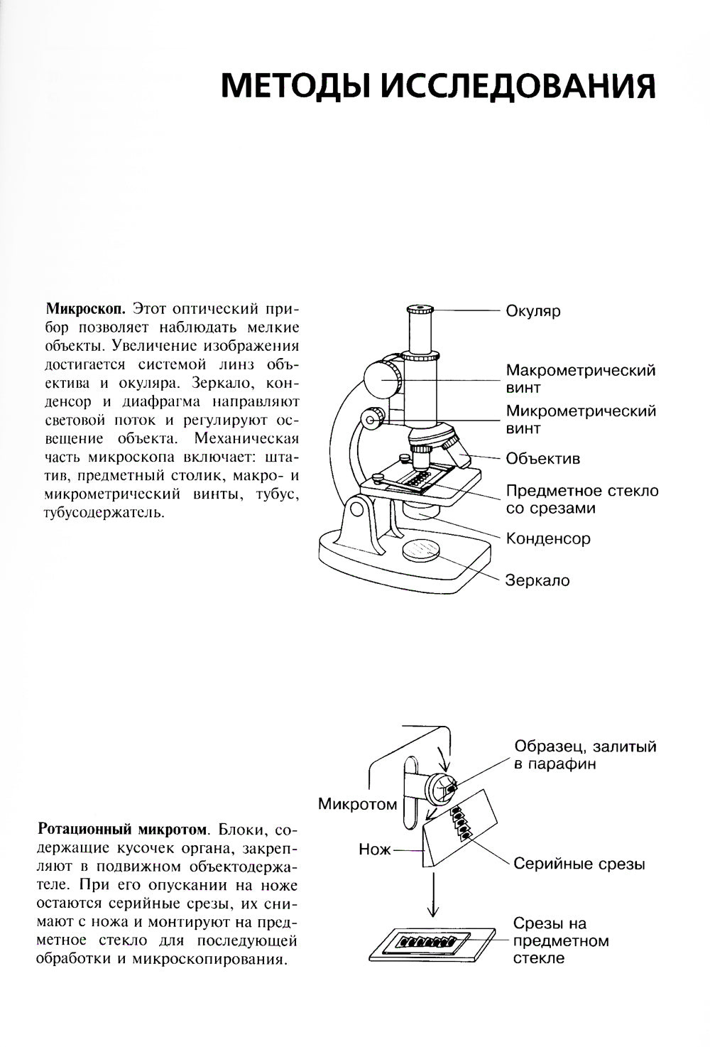 Гистология. Атлас для практических занятий: Учебное пособие