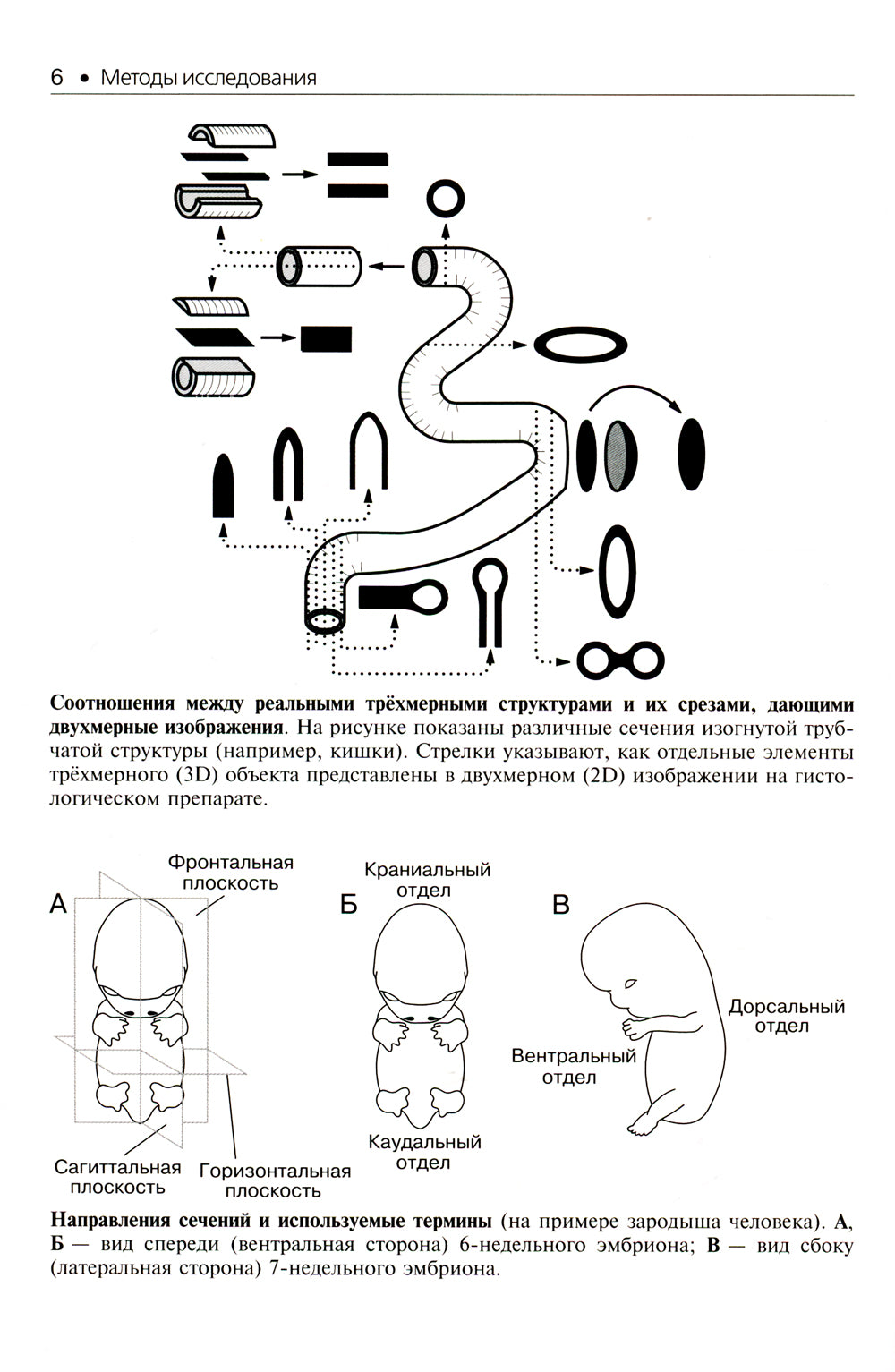 Гистология. Атлас для практических занятий: Учебное пособие
