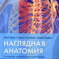 Наглядная анатомия. 3-е изд., перераб. и доп