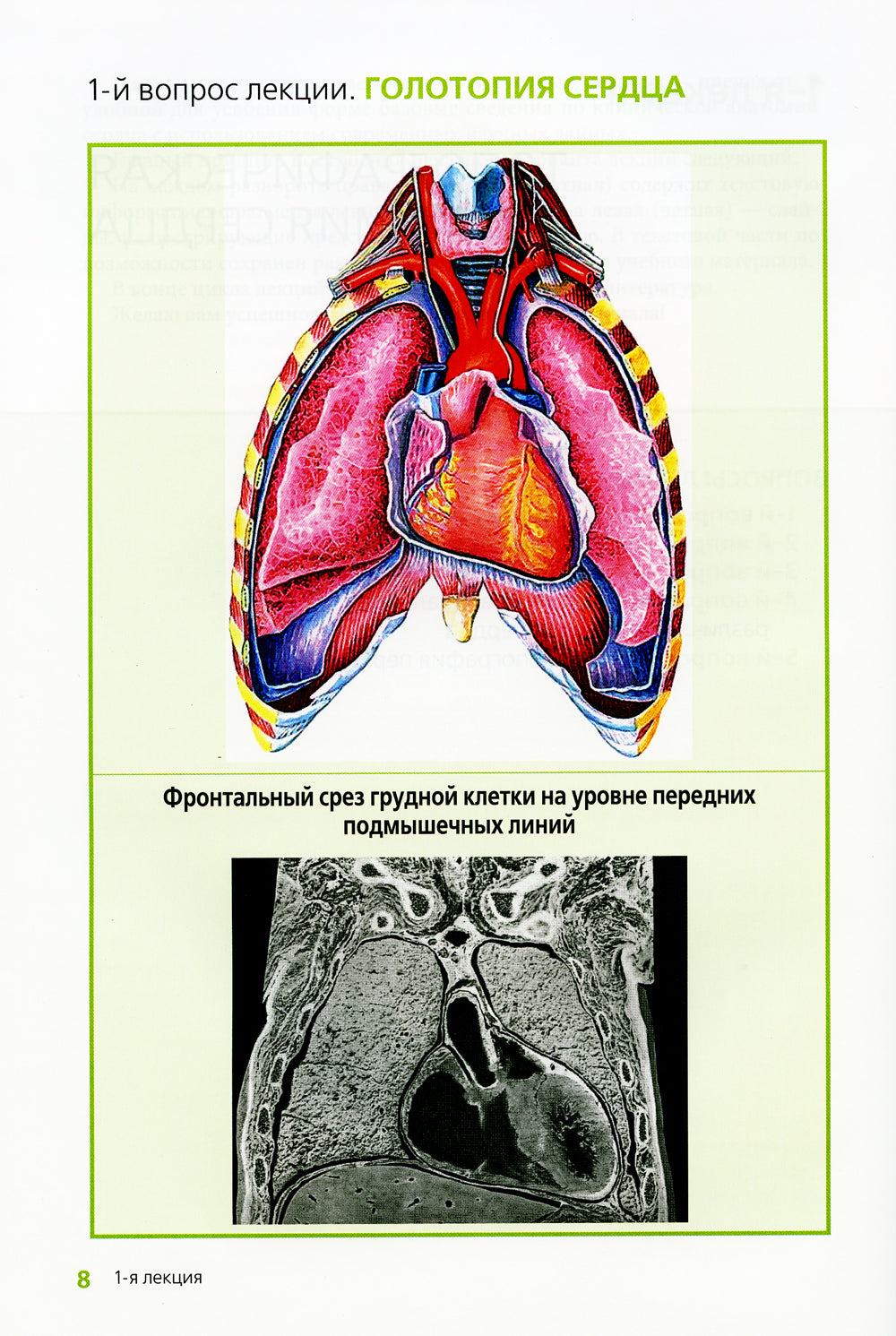 Клиническая анатомия сердца: иллюстрированный авторский цикл лекций