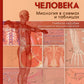 Анатомия человека: миология в схемах и таблицах: Учебное пособие