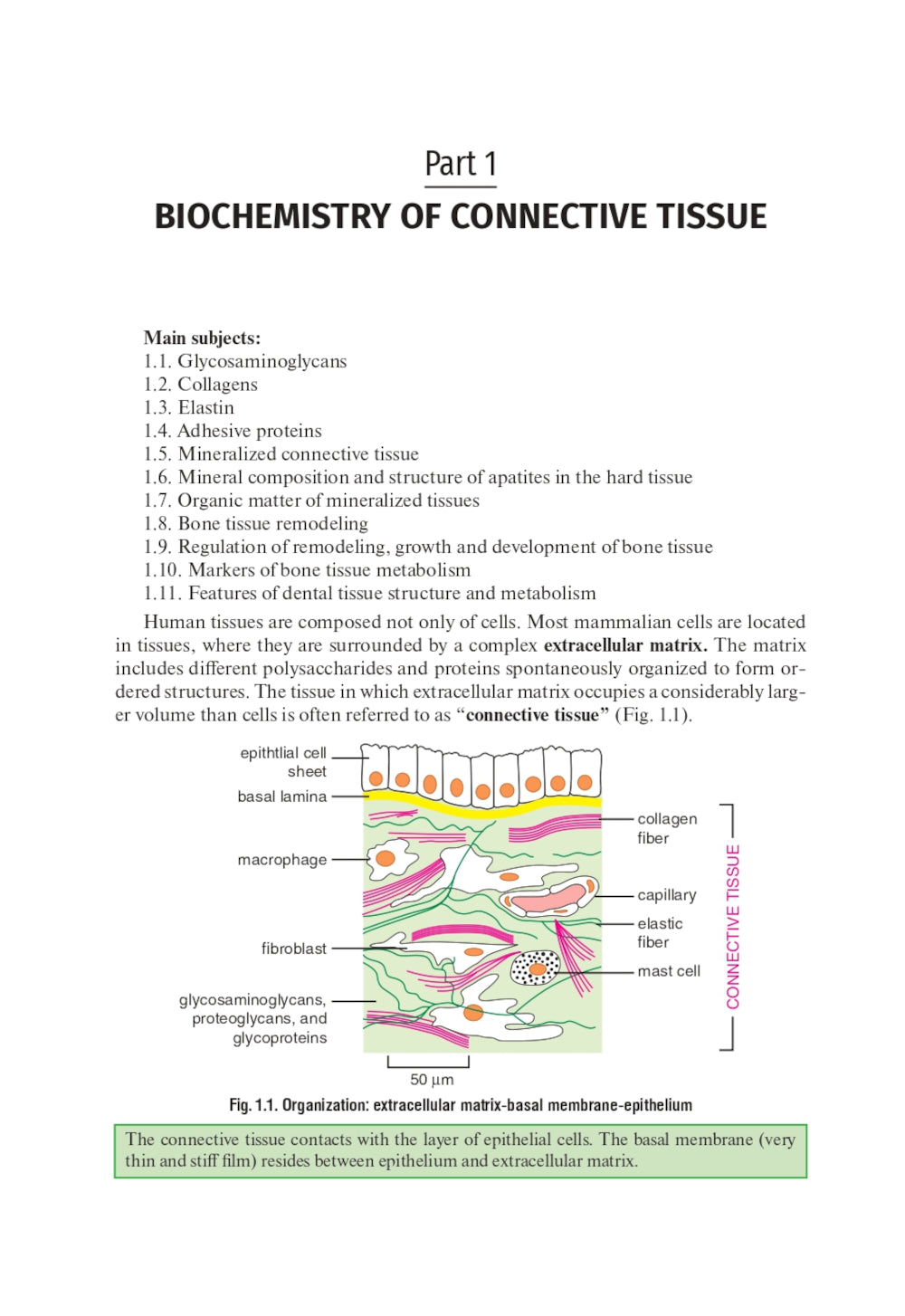 Biochimie du tissu conjonctif. Biochimie de la salive mixte : tutoriel