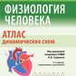 Физиология человека. Атлас движущих схем: Учебное пособие. 2-е изд., испр. и доп
