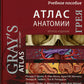 Атлас анатомии Грея: Учебное пособие (на 3-х языках: русский, английский, латинский). 2-е изд