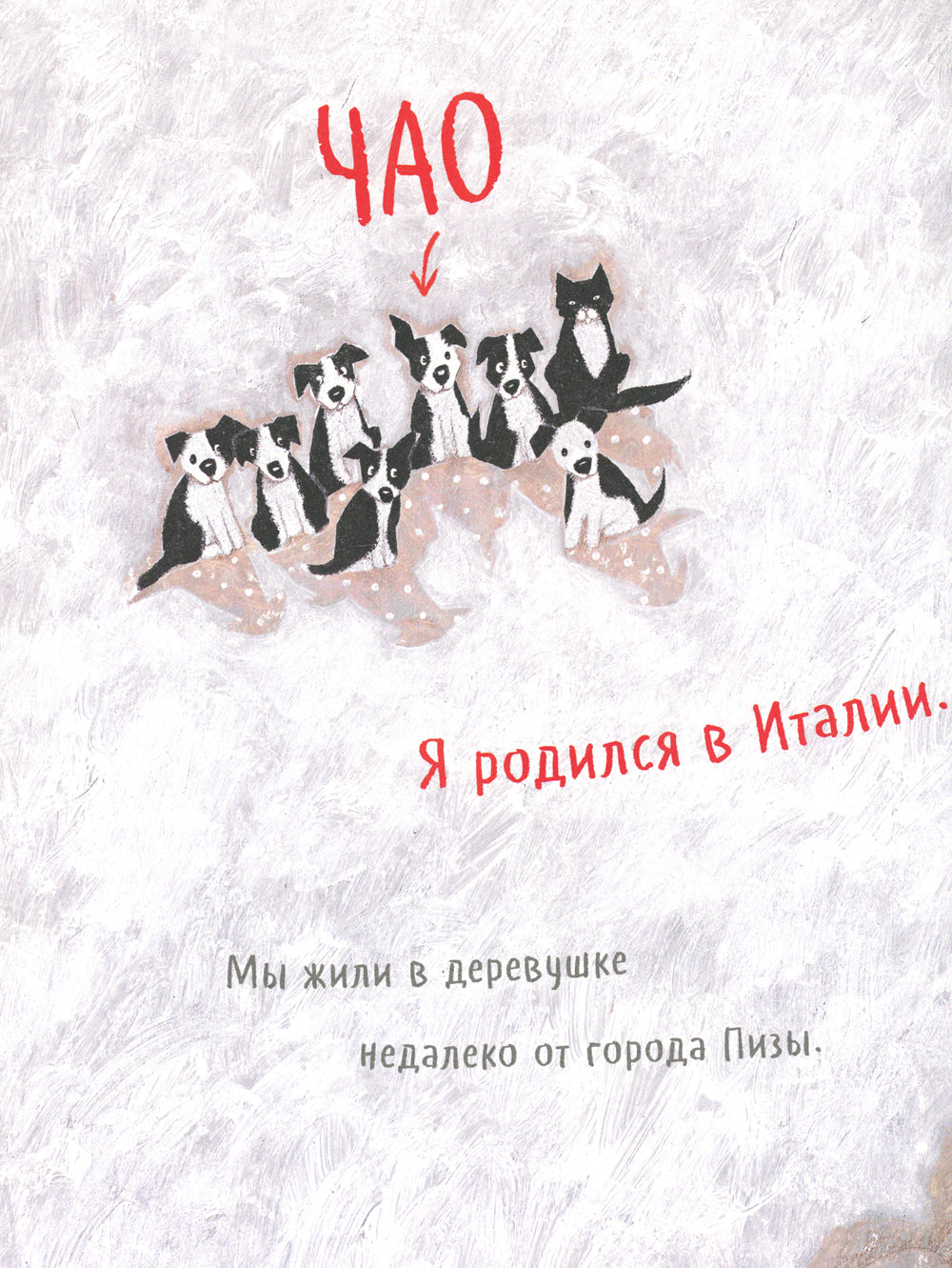 Чао, давай дружить!