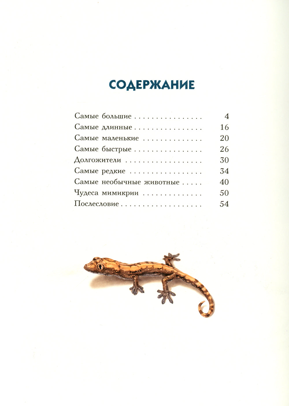 Самые-самые. Животные рекордсмены