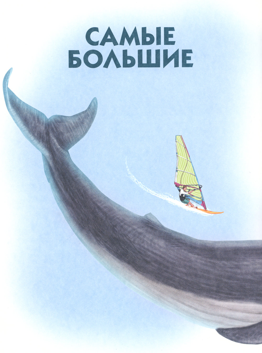 Самые-самые. Животные рекордсмены