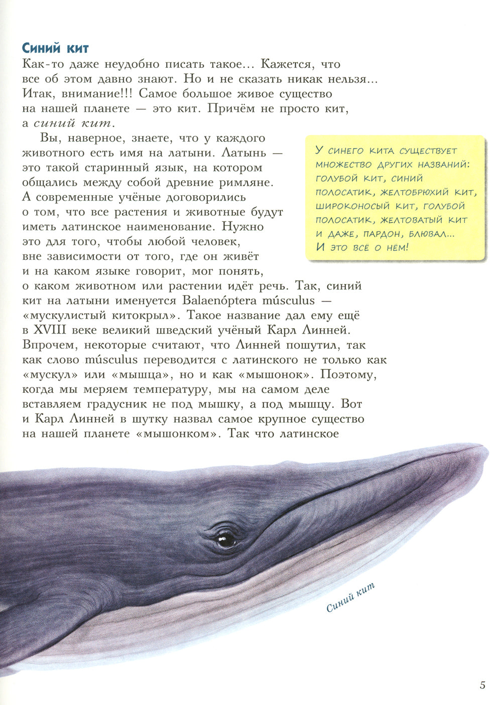 Самые-самые. Животные рекордсмены