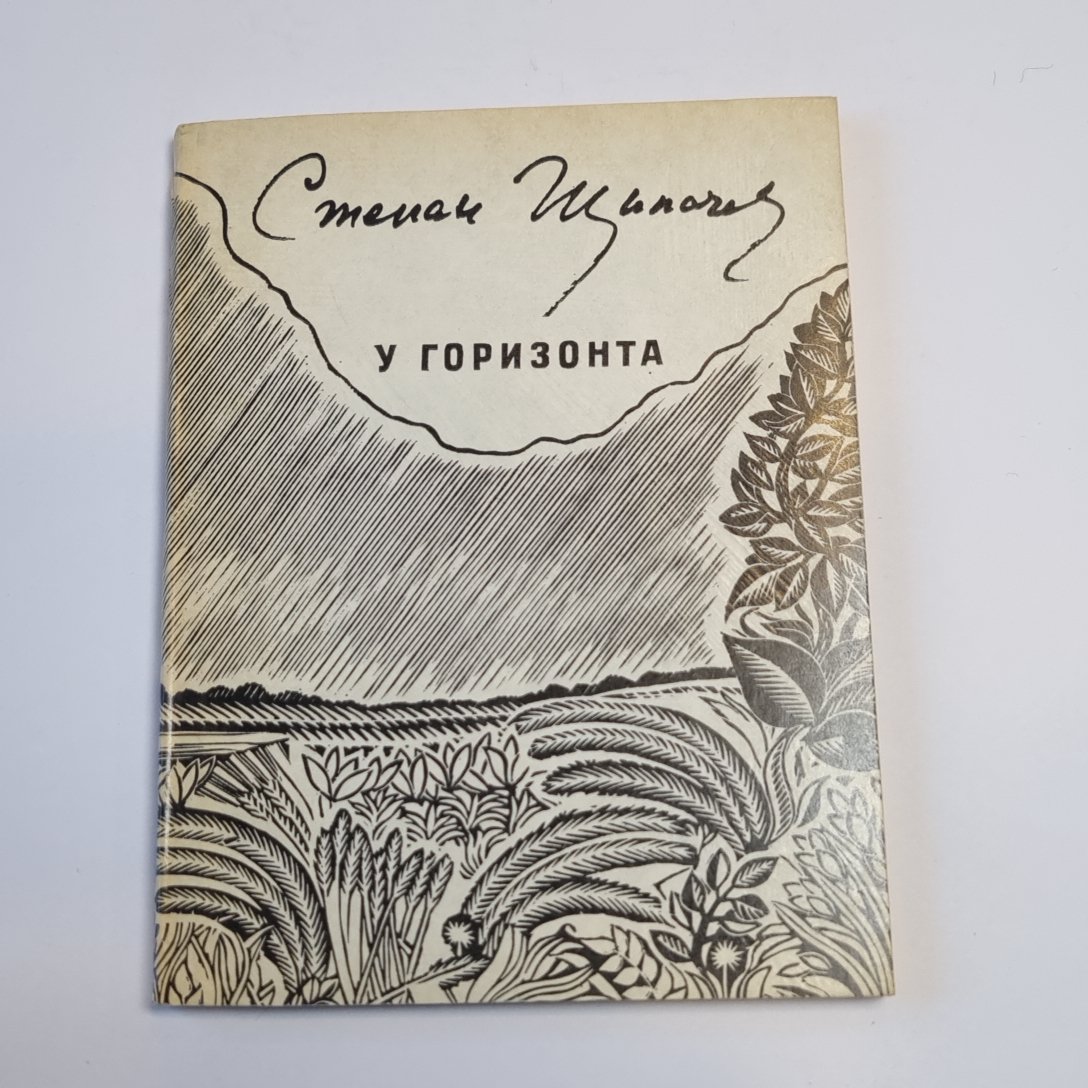 У горизонта