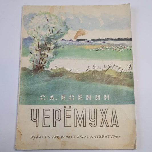Черемуха