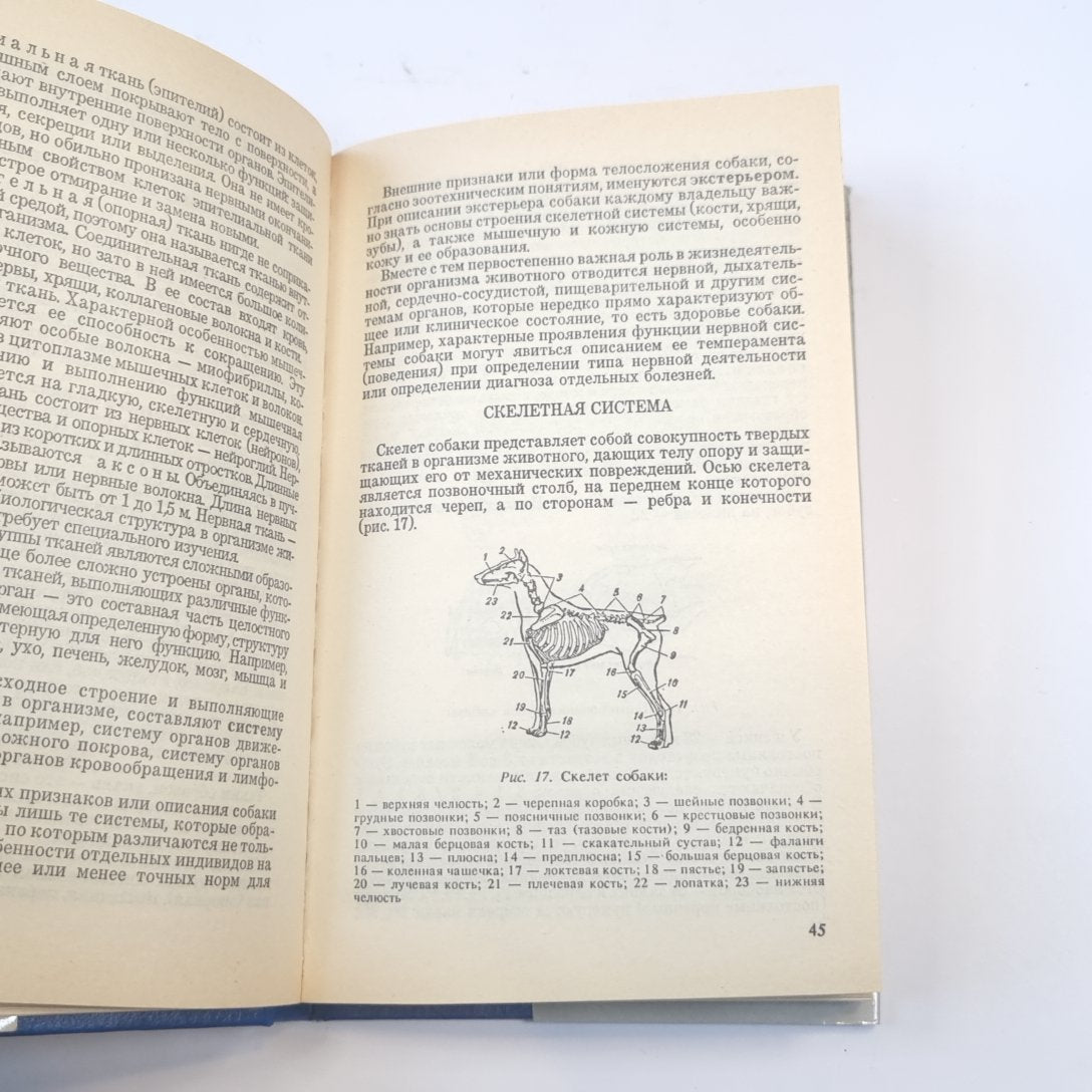 Собака на службе и дома