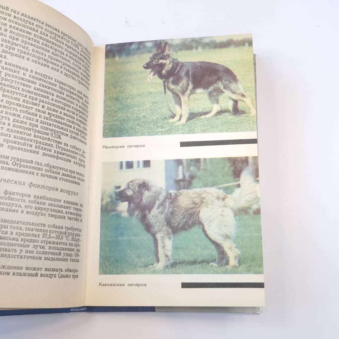 Собака на службе и дома