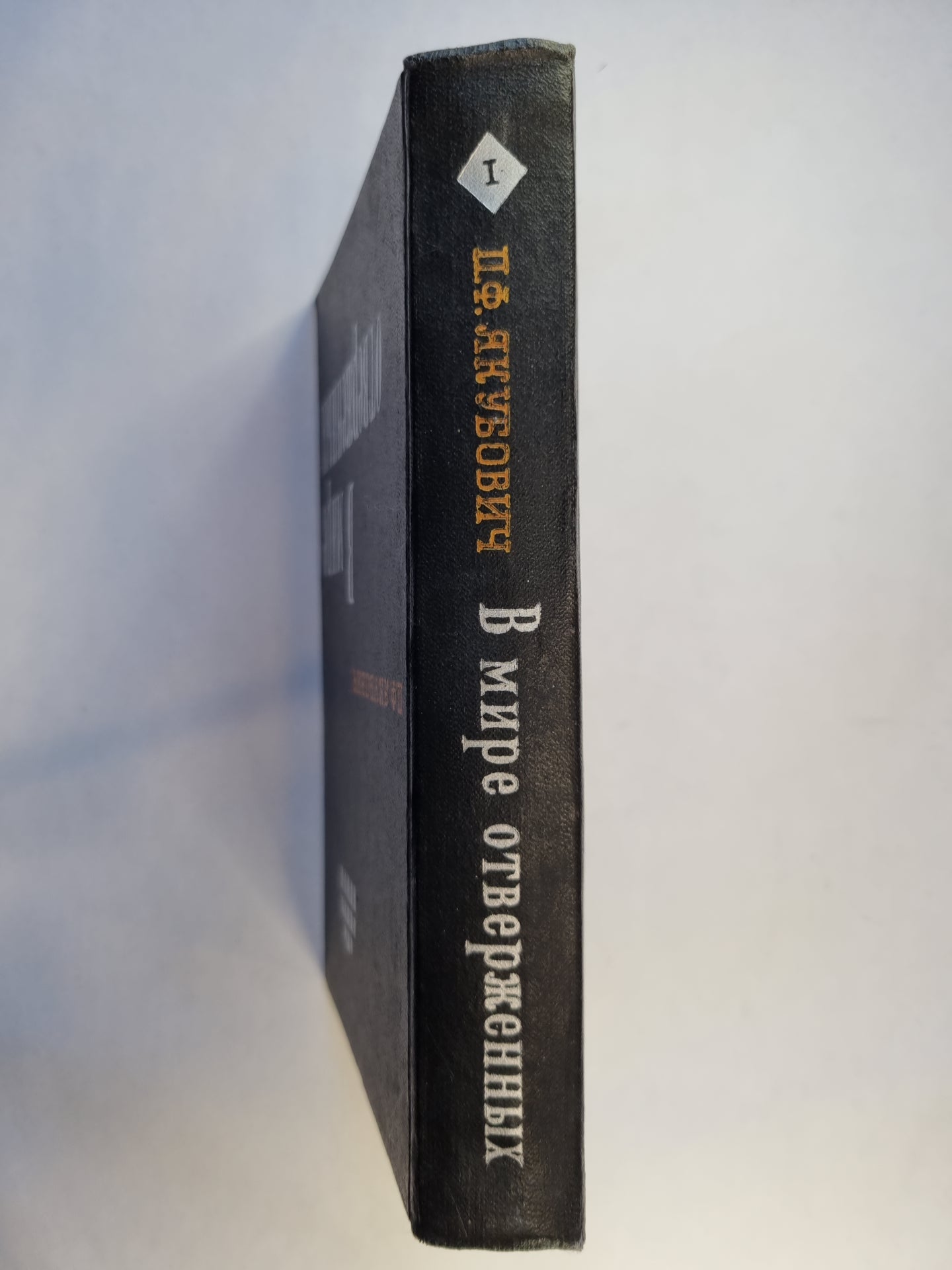 В мире отверженных. Том 1