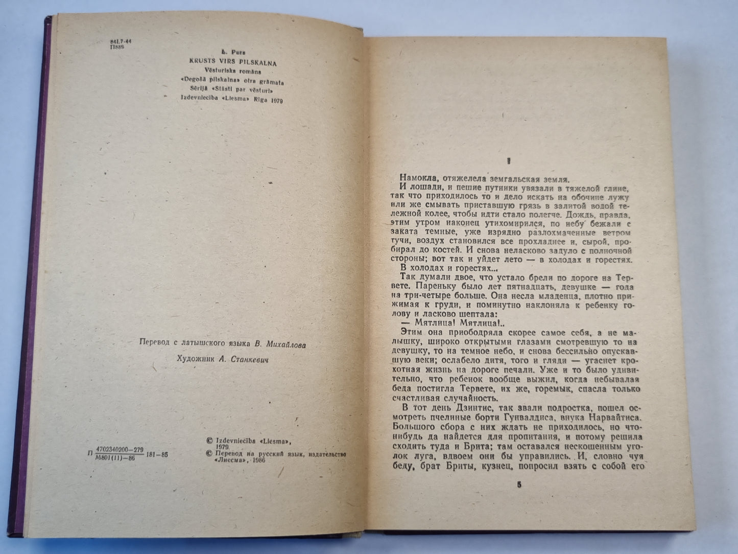 Крест над городищем. Исторический роман