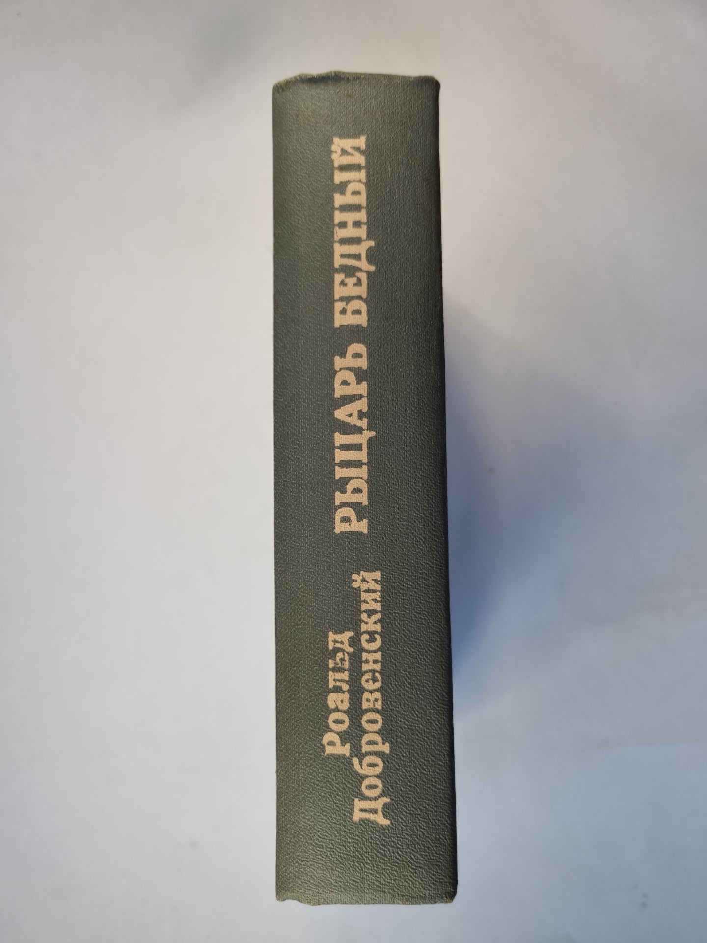Рыцарь бедный. Книга о Мусоргском