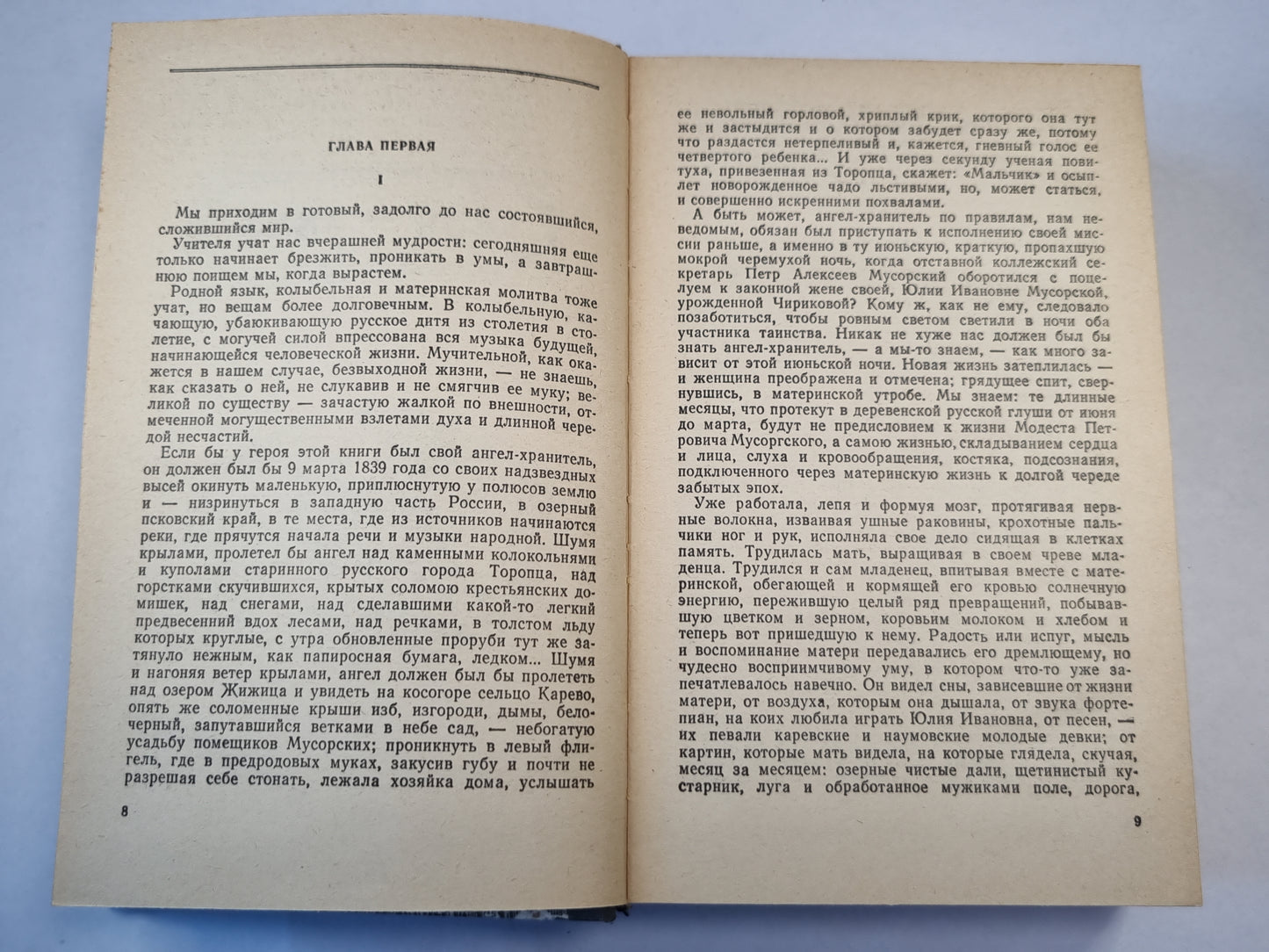 Рыцарь бедный. Книга о Мусоргском