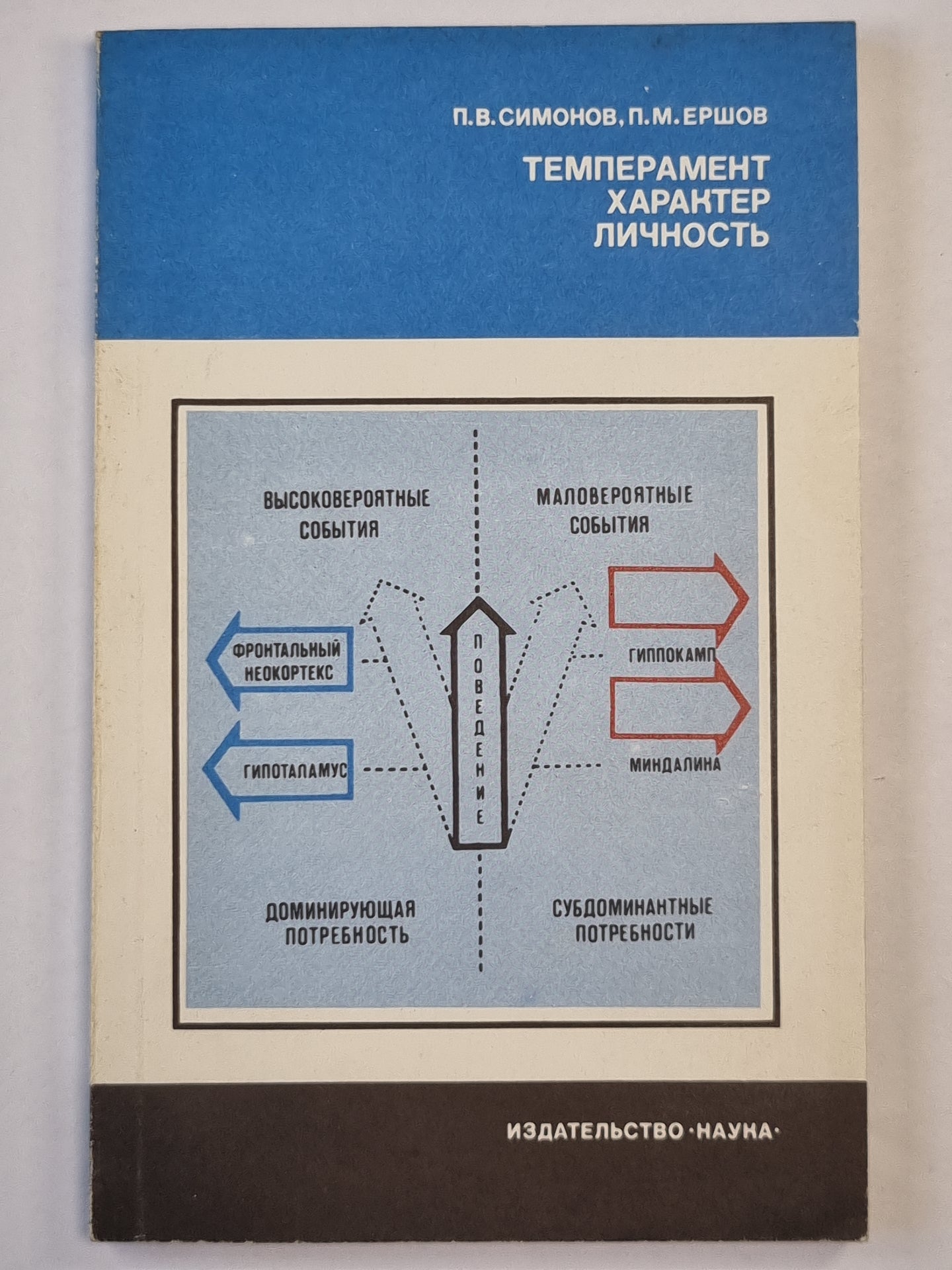Темперамент характер личности
