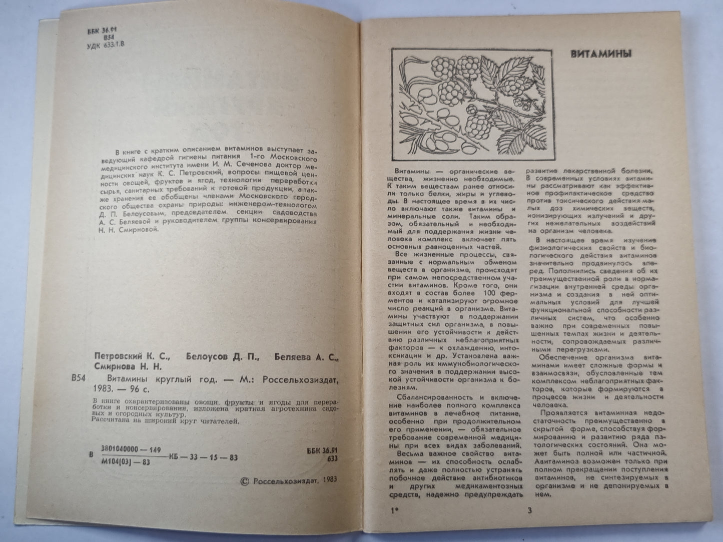 Витамины круглый год