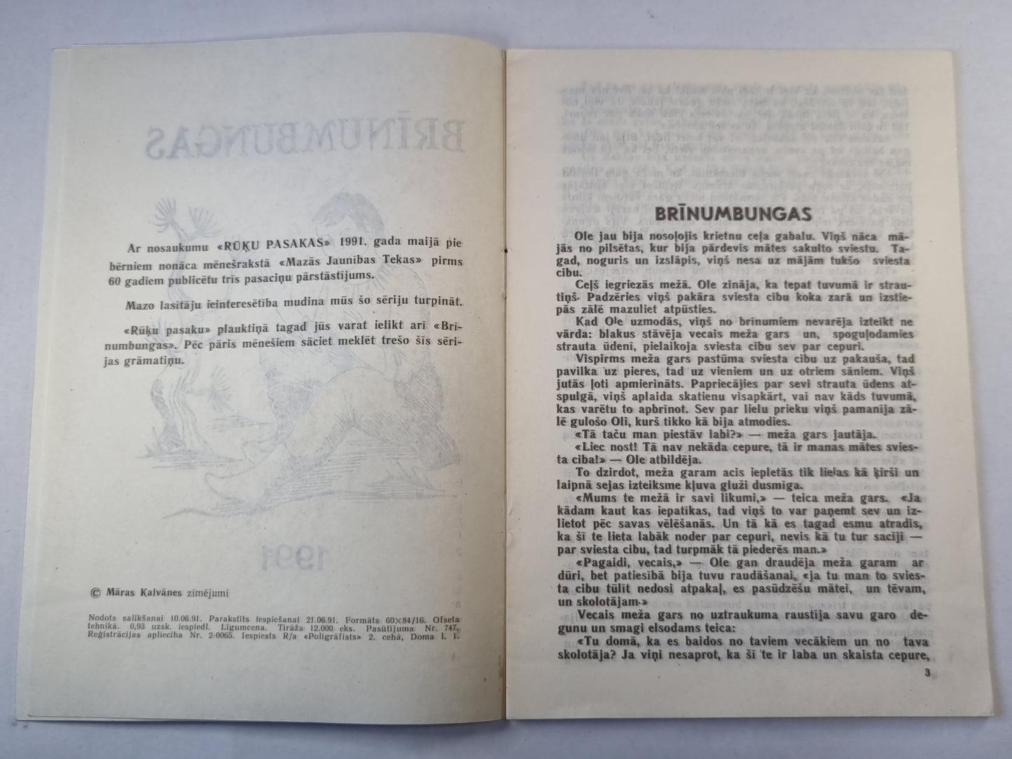 Brīnumbungas. Rūķu pasakas