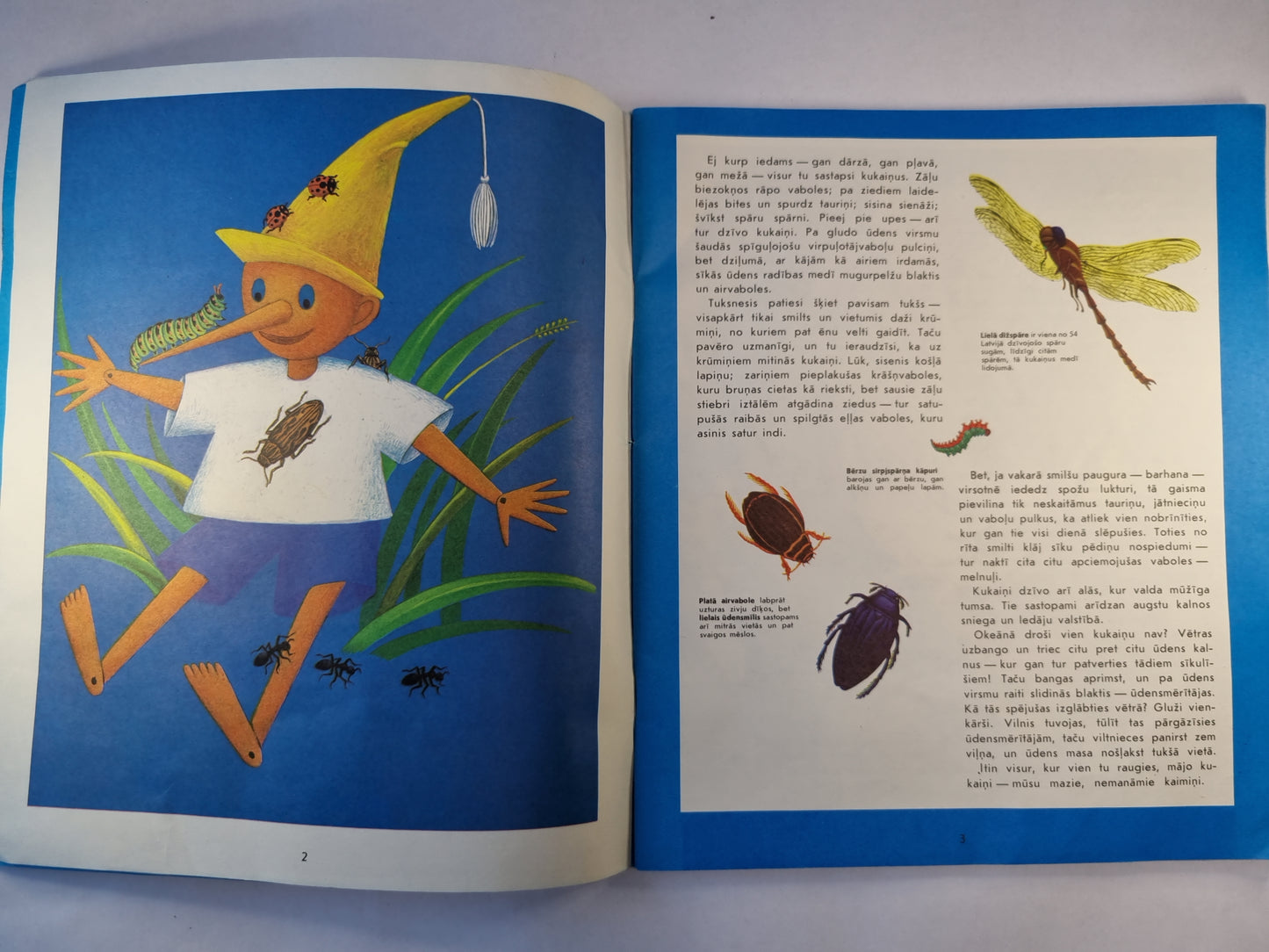 Entomologies bilzu grāmata