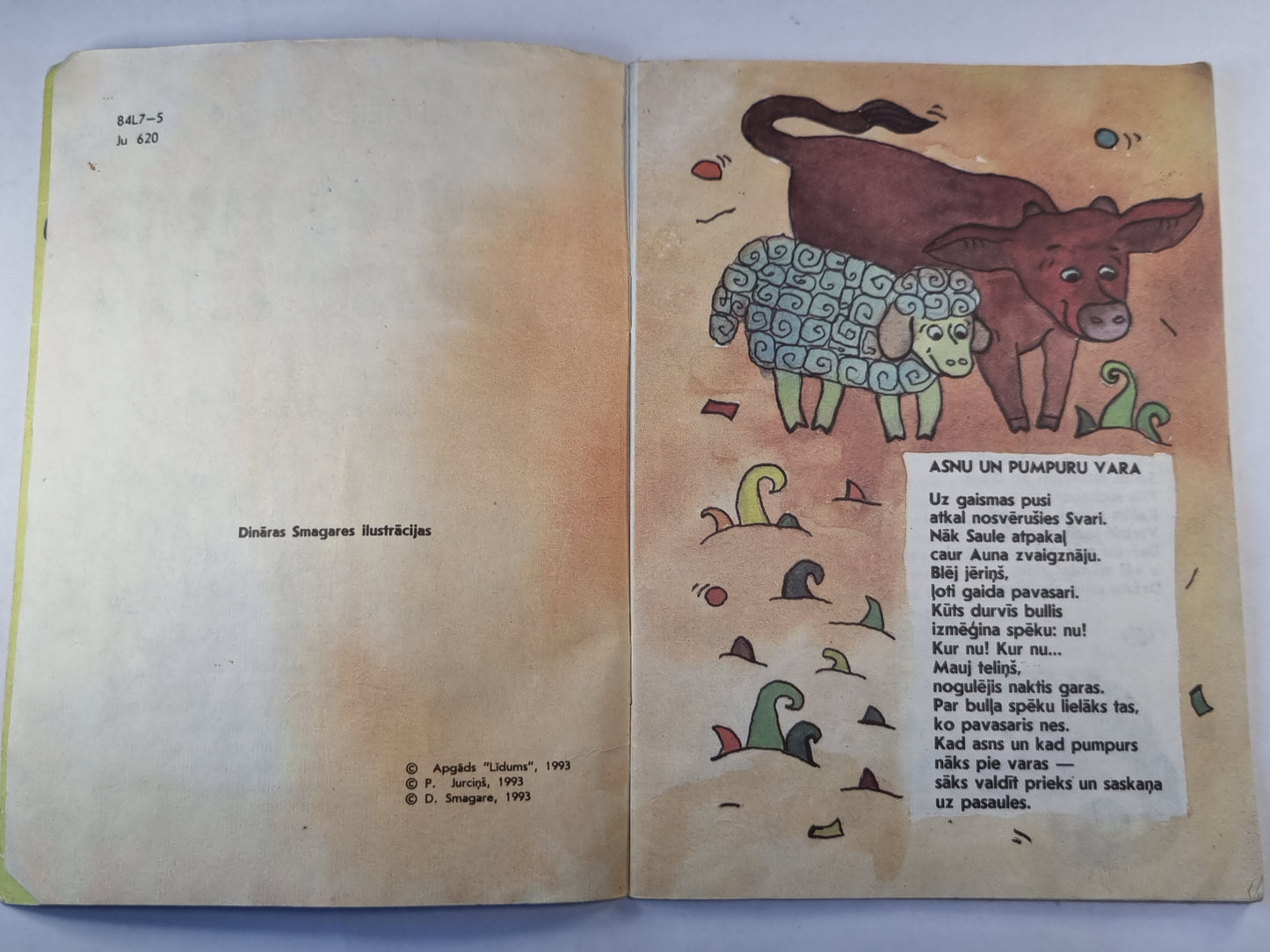 Saules meita mūsu sētā