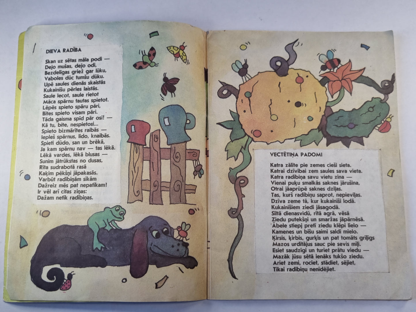 Saules meita mūsu sētā