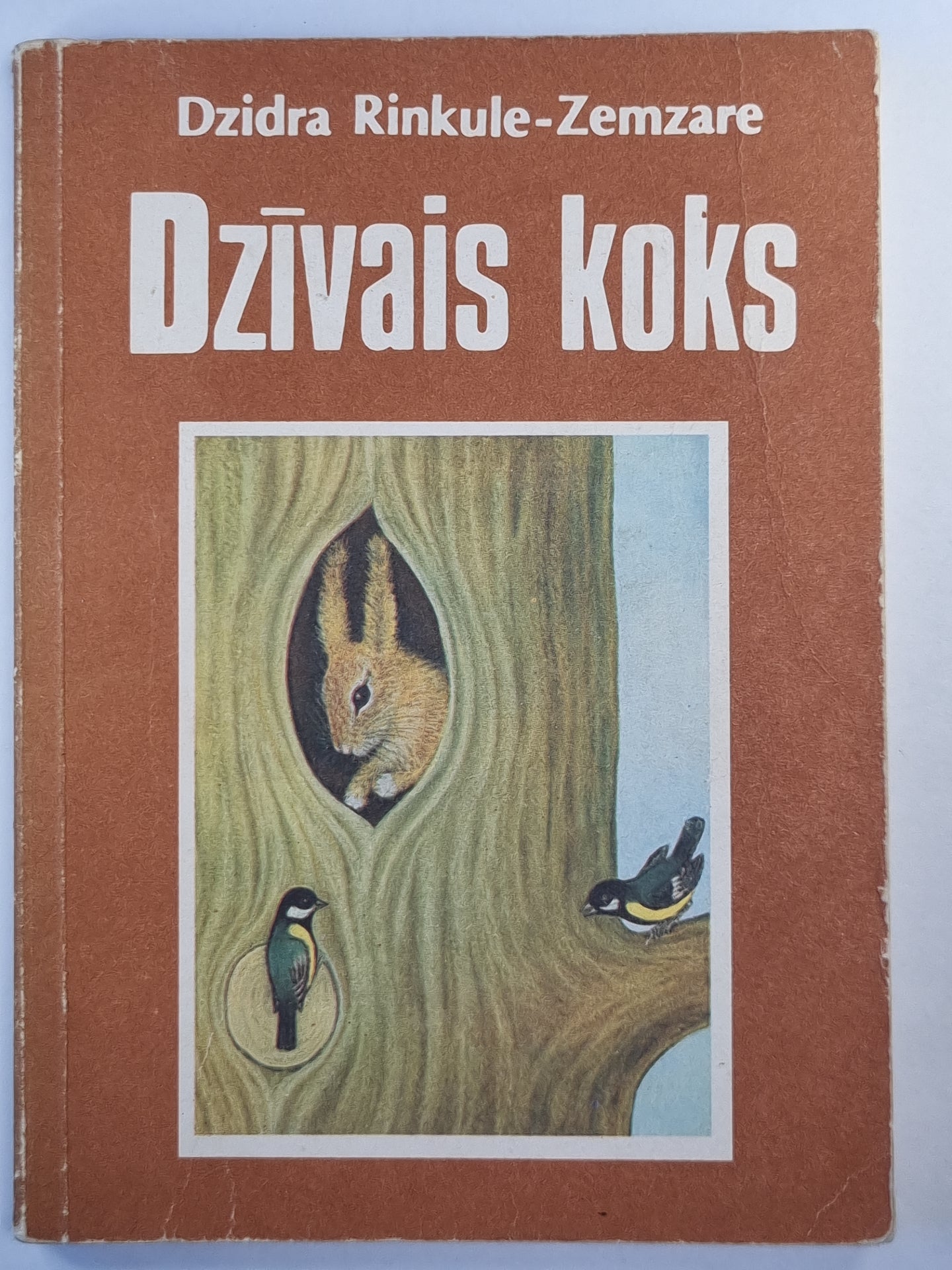 Dzīvais koks