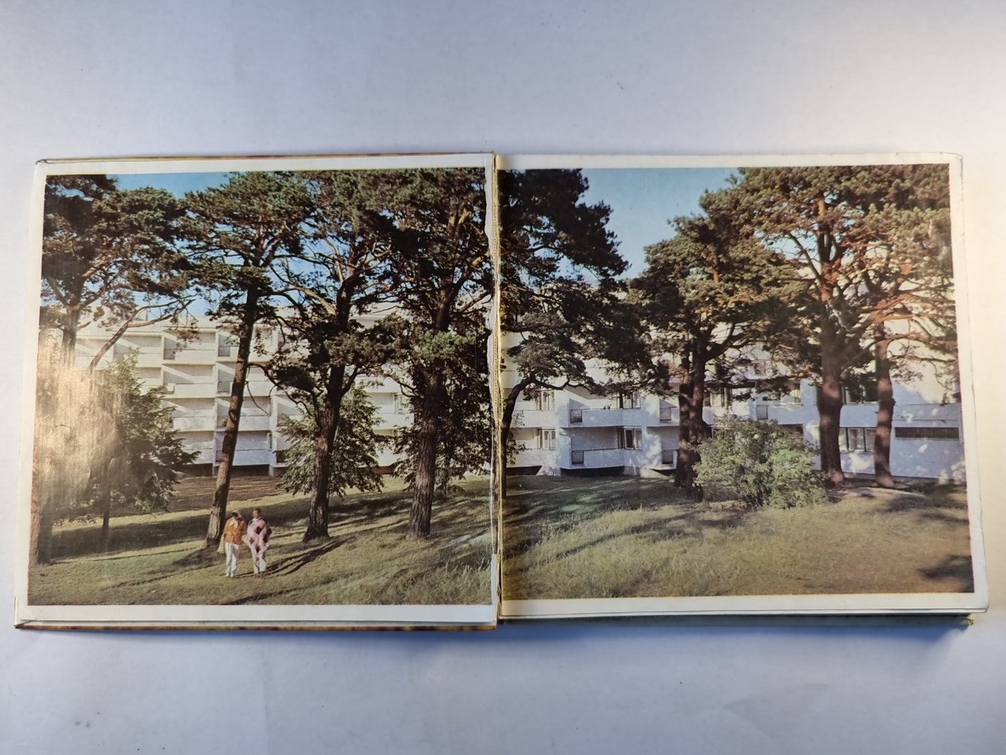 Янтарный берег. На русском, венгерском, немецком, польском и чешском языках