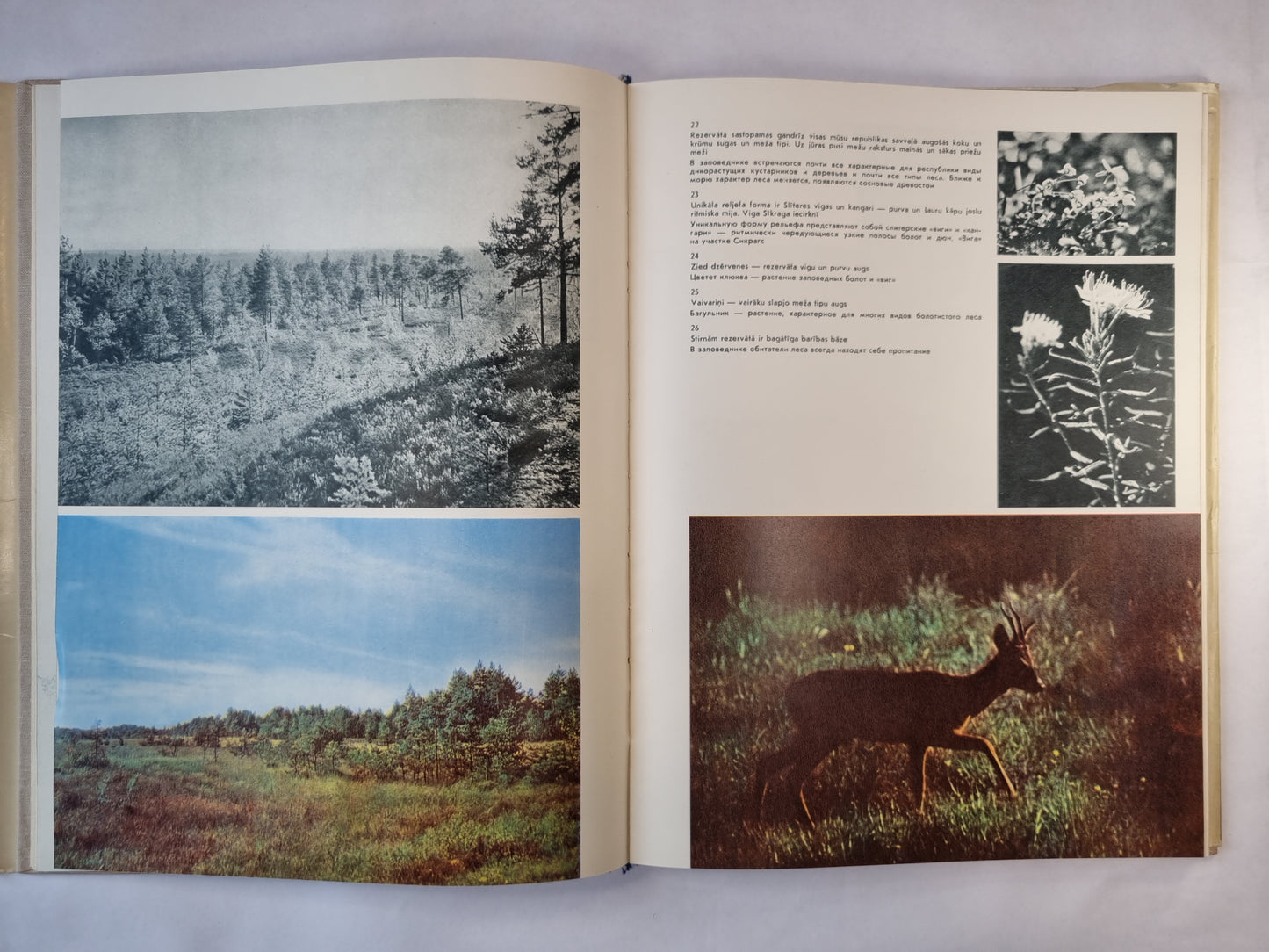 Latvijas dabas pieminekļi