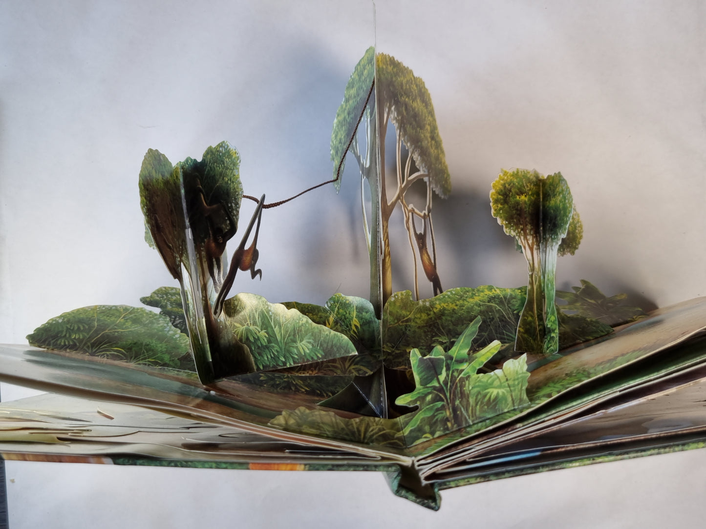 Apbrīnojamie pērtiķi