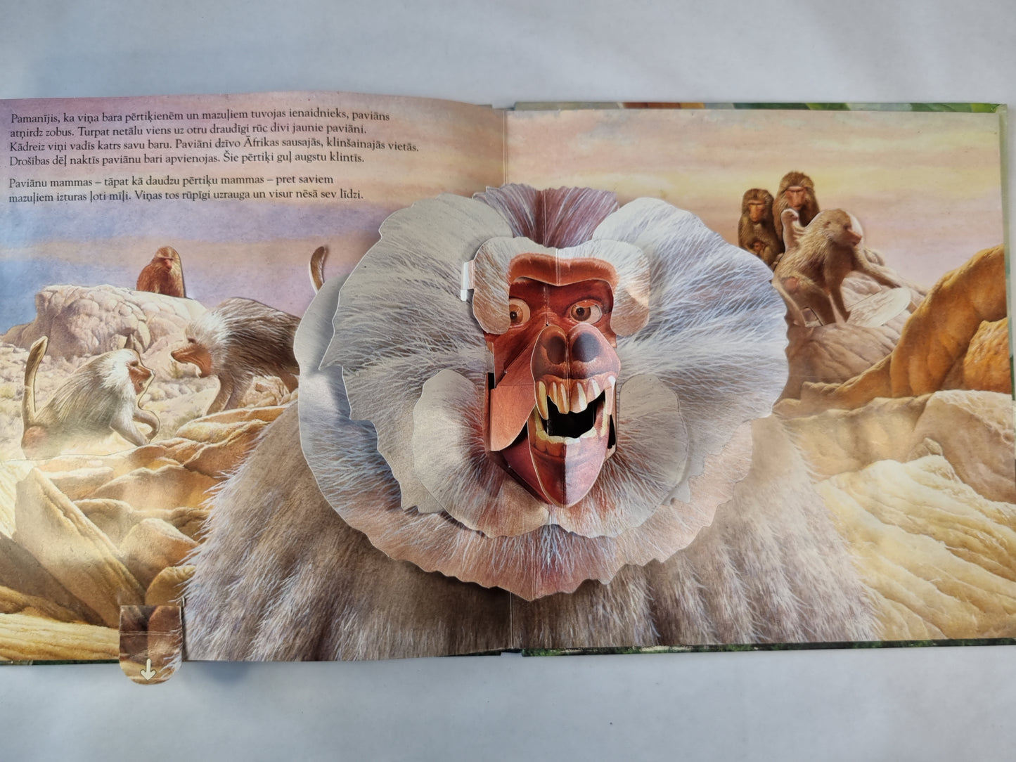 Apbrīnojamie pērtiķi